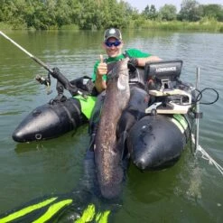 Aletas De Barco MadCat Belly 7 Aletas De Barco MadCat Belly -Grohe Shop 33216274 1887824864845680 7603229447029784576 n 550x550 1