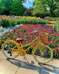 BICICLETA NIÑOS BOBBIN GINGERSNAP 24″ 7 VELOCIDADES AMARILLO 7-12 AÑOS -Grohe Shop bicicleta ninos bobbin gingersnap 24 pulgadas amarillo