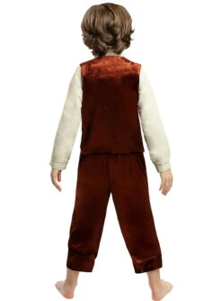 Disfraz De Frodo Para Niño - El Señor De Los Anillos -Grohe Shop disfraz de frodo para nino el senor de los anillos 1 5