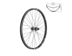 Dt-swiss DT Swiss H 1900 Spline 27.5" 35mm Aluminio IS 6 Tornillos 148/12 TA Boost Shimano Trasera